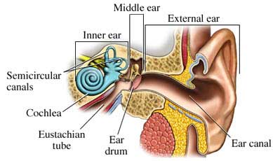 Pulsatile Tinnitus