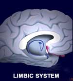 Direct Electrical Stimulation of the Brain for Tinnitus Relief