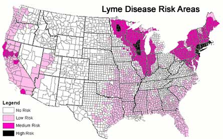 Lyme Disease, Hyperacusis & Tinnitus