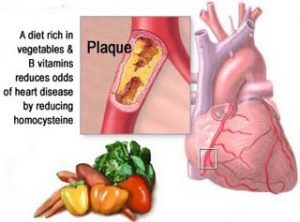 A diet rich in vegetables and B vitamins reduces odds of heart disease.