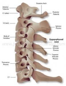 Upper Cervical Spine